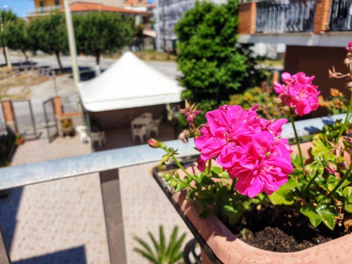 Hotel Ristorante L'Avvenire Джицерия Екстериор снимка