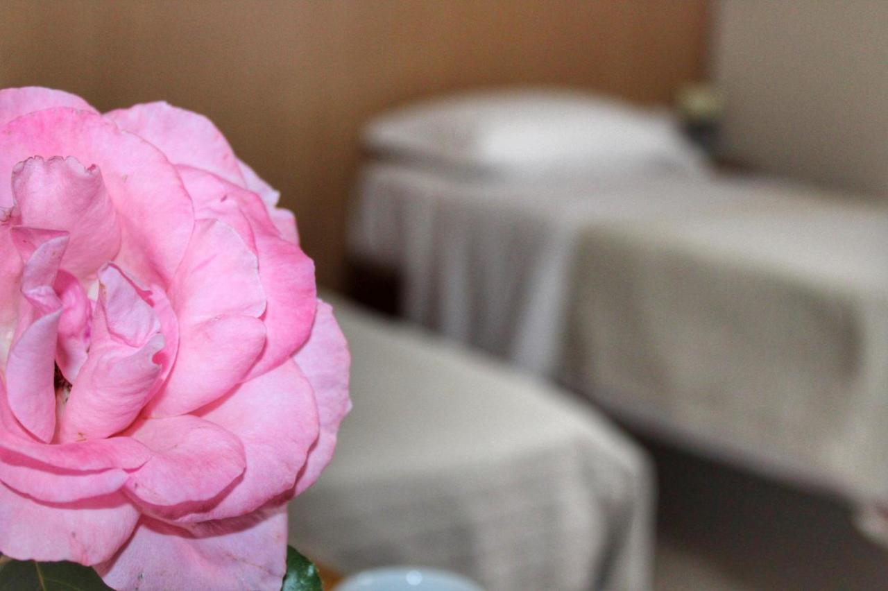 Hotel Ristorante L'Avvenire Джицерия Екстериор снимка